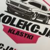 Niestandardowe zamówienie - obrazek 5